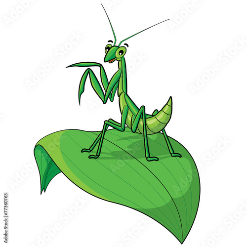 Praying mantis Cartoon