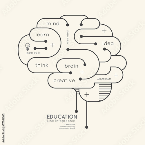 Wallpaper Mural Flat linear Infographic Education Outline Brain Concept.Vector I Torontodigital.ca