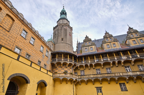 Castle of Olesnica Dukes - Olesnica, Poland photo