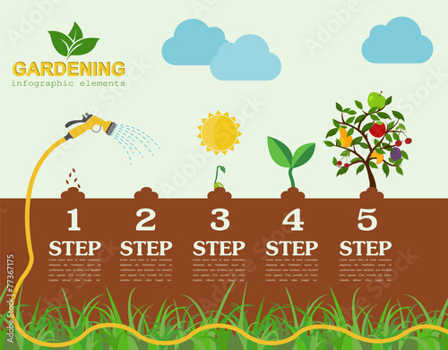 Garden work infographic elements. Working tools set