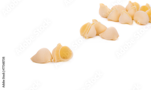 Italian pasta shells