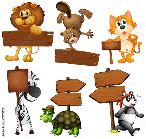 Animals with signboards
