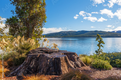 Lake Te Anau with big tree stump on the foreground, Fiordland, N photo