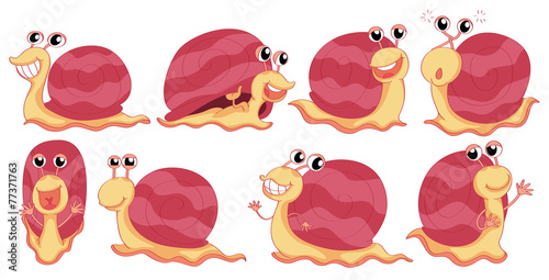 A group of snails