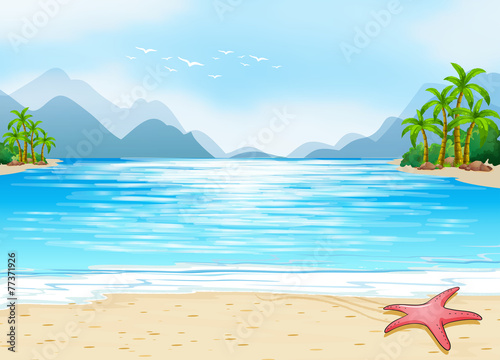 A view of the beach