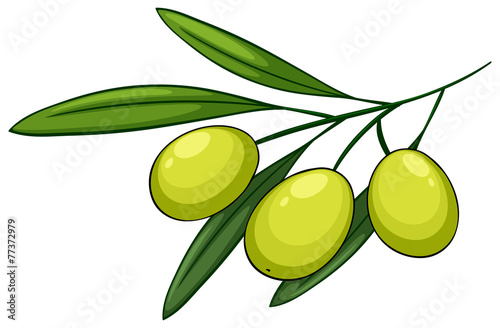 Olive