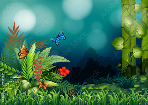 A garden