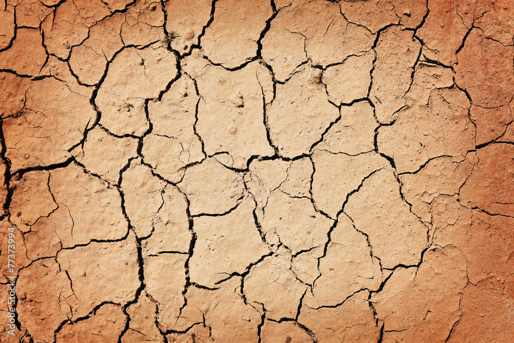 cracked earth texture cracked earth texture
