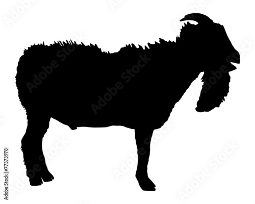 Ziegenbock