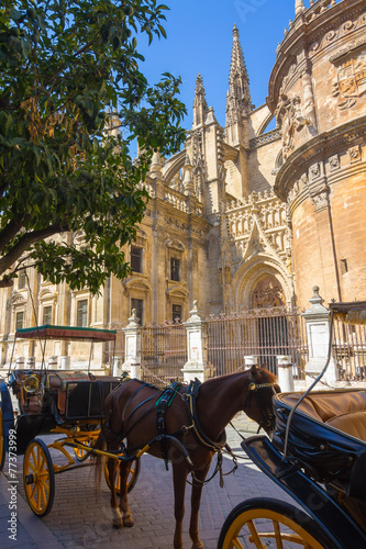 Carriage with horse next to the famous Giralda in Seville, Spain