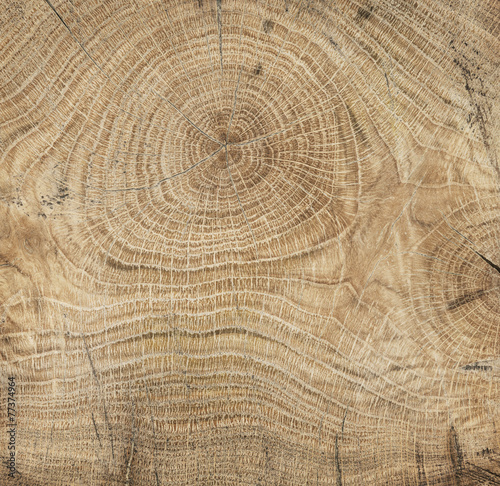 Wooden background