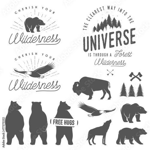 Set of wilderness quotes, silhouettes and design elements