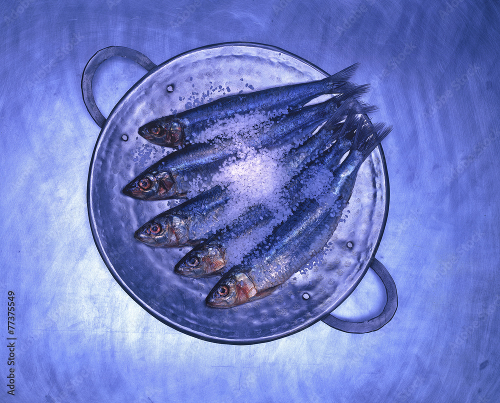 Fototapeta premium Blue Mackerel on reflective plate
