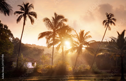 Tropical village in Goa