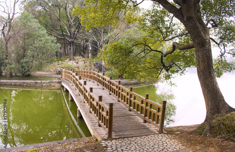 Landscape of chinese park. Changsha. China Landscape of chinese park. Changsha. China