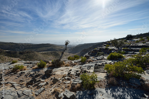 Rocky terrain with mountains