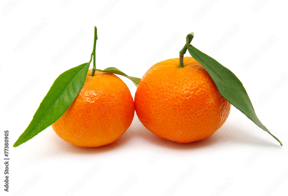 mandarin on white mandarin on white