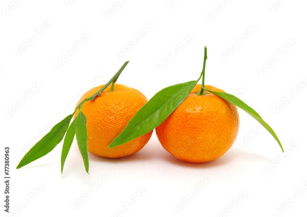 mandarin on white mandarin on white