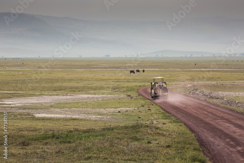 View over Ngorongoro Crater  Tanzania  East Africa  UNESCO 