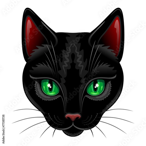 Black Cat Portrait on White