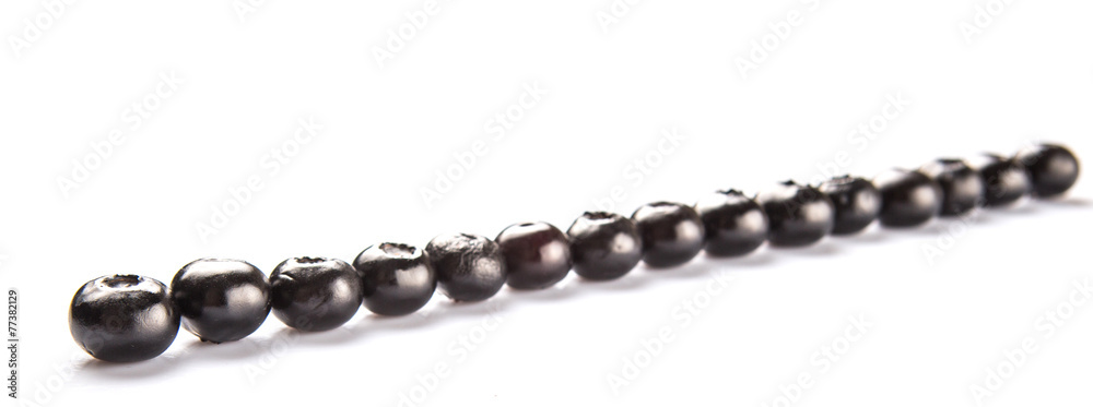 Blaeberry also known as bilberry over white background Blaeberry also known as bilberry over white background