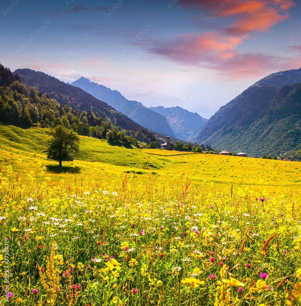 Colorful summer landscape in the Caucasus mountains