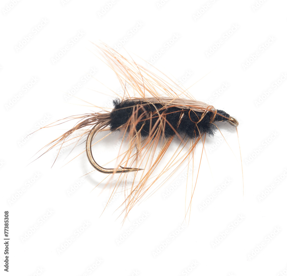Obraz premium fly for fishing on white background