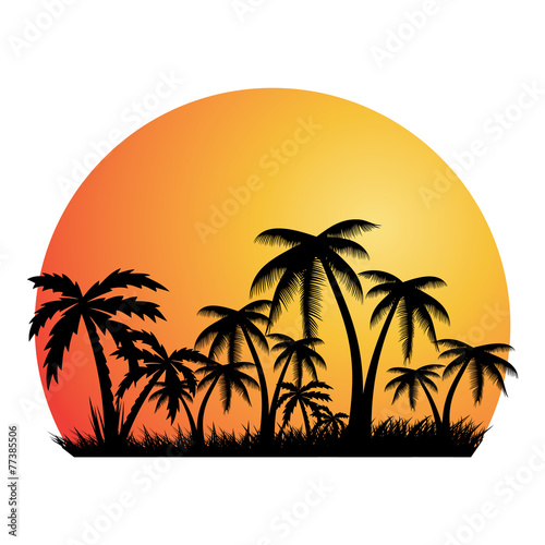 Summer holiday background.Tropical banner.