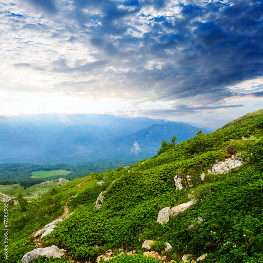 Obraz premium early morning green mountain scene