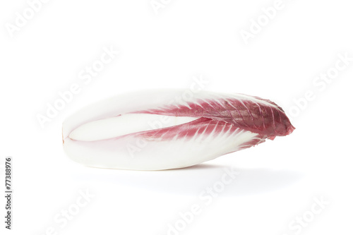 Radicchio Chicory on white background