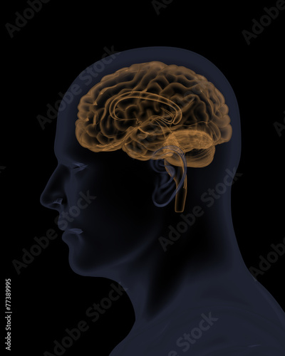 Profile view of man and his brain