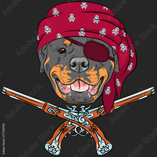 vector Dog Rottweiler Pirate with pistols