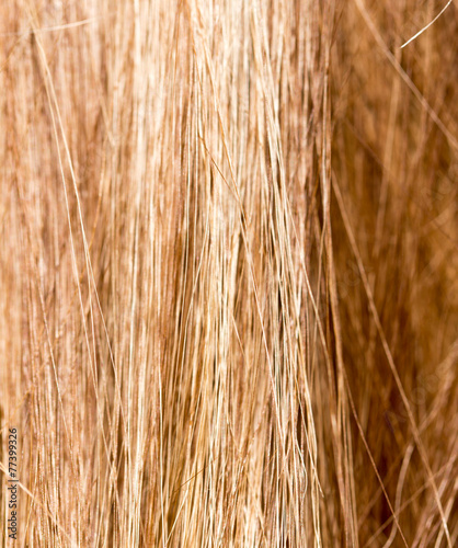 long blond hair as background