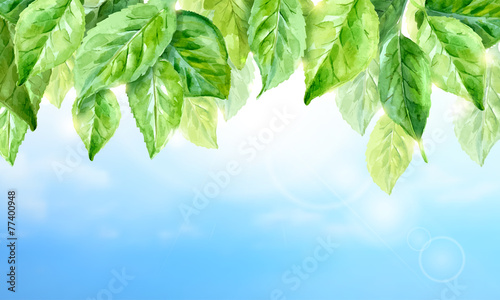 horizontal watercolor background of spring leaves.