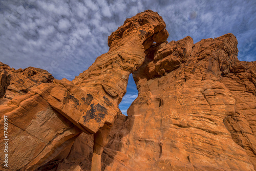 Elephant rock upclose