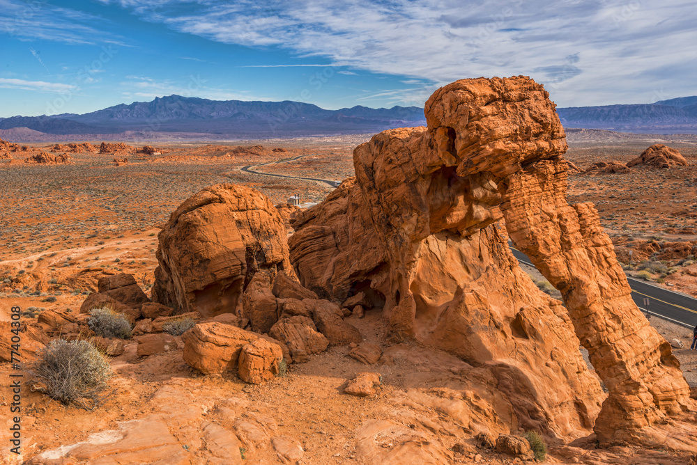 Elephant rock