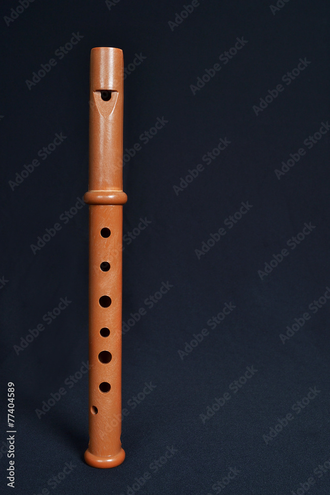 Naklejka premium Dulzaina y flabiol instrumentos musicles tradicionales