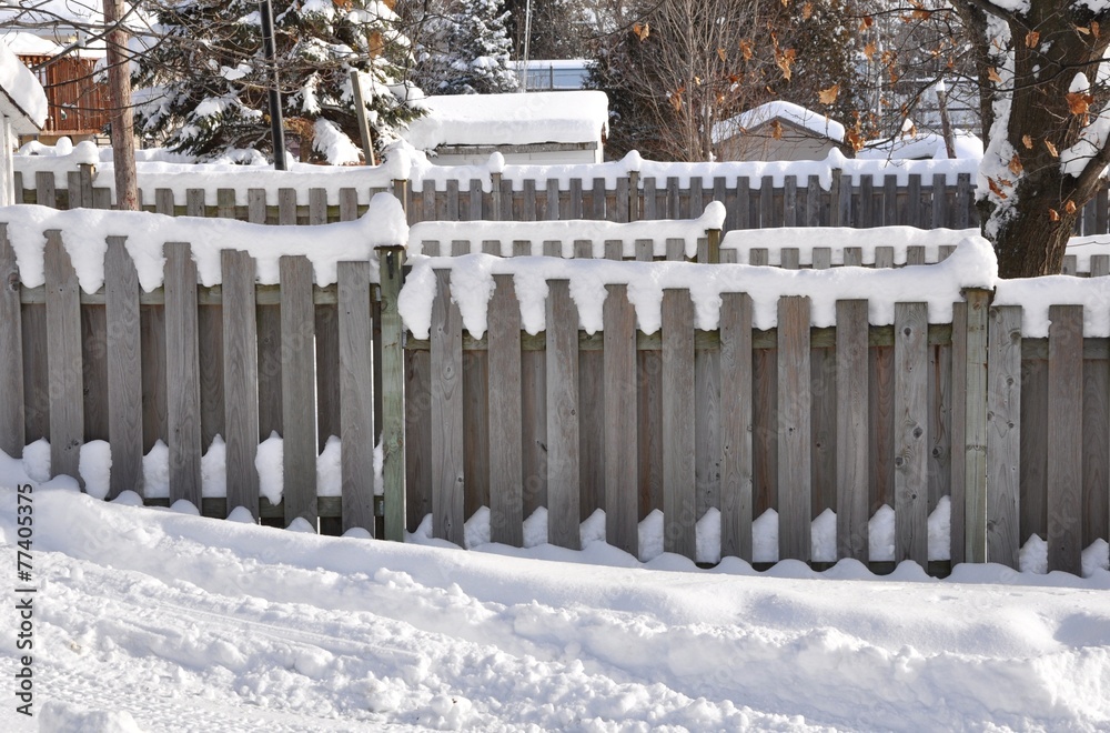 Snowy fence Snowy fence