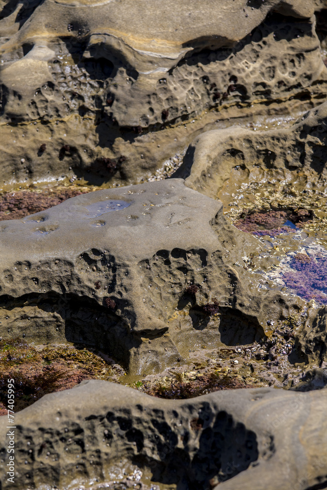 Shore rocks in La Jolla