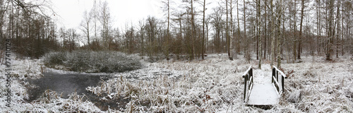 Wallpaper Mural Panoramic view of frozen lake on the Huy in Saxony-Anhalt, Germany. These lakes are called Kollyteiche Torontodigital.ca