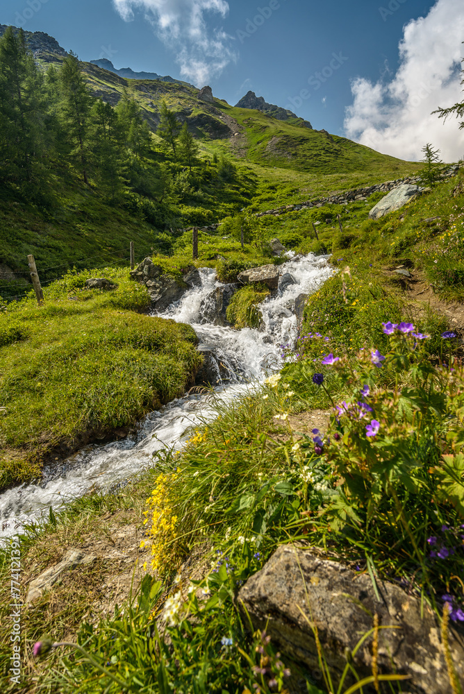 Mountain landscape