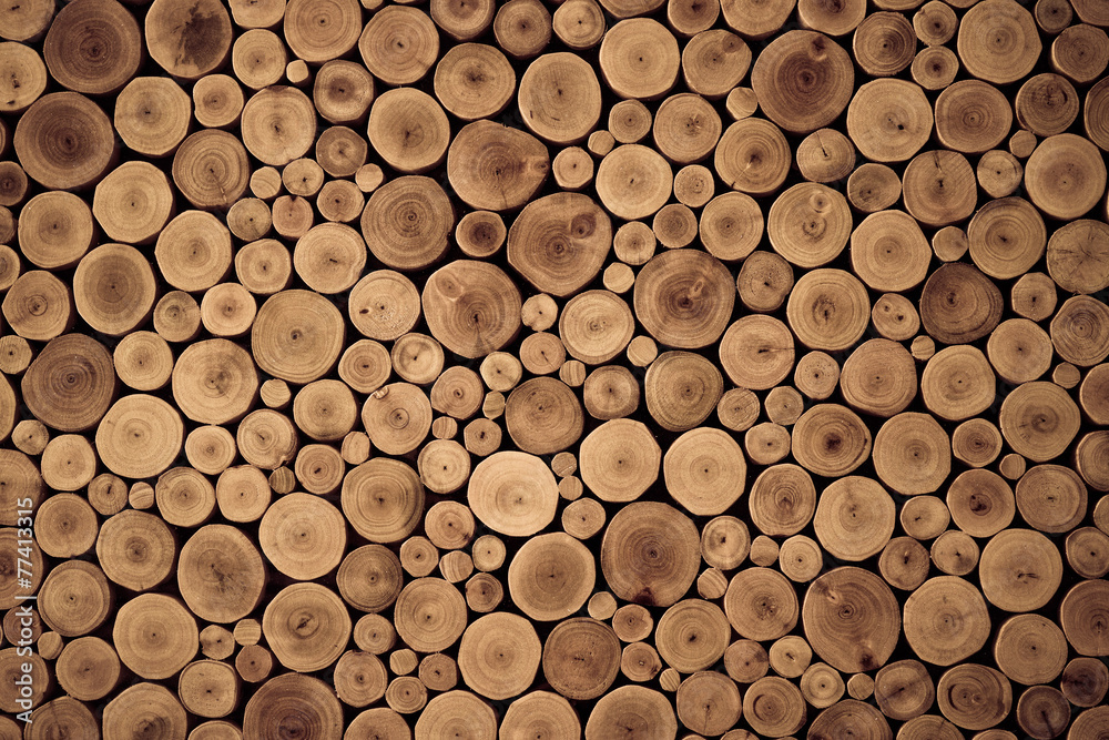 Naklejka premium wood stump background