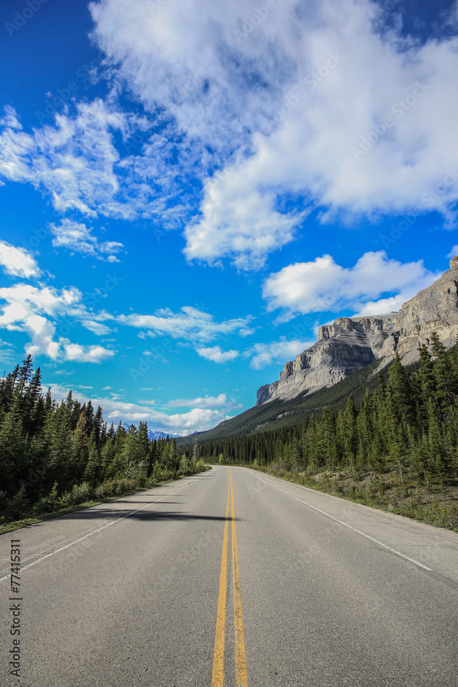 Icefield Parkway 11