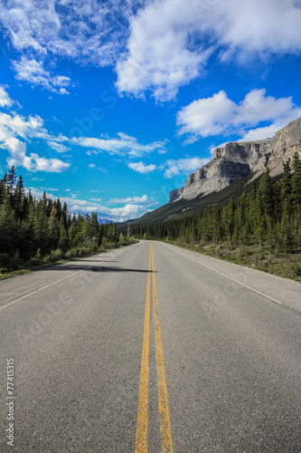 Icefield Parkway 10