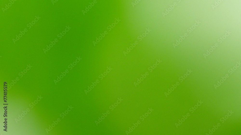 Green soft background