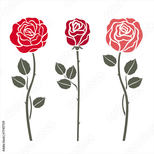Red roses on white. Vector