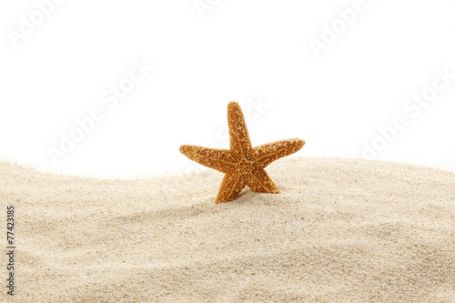 Starfish on Beach Sand