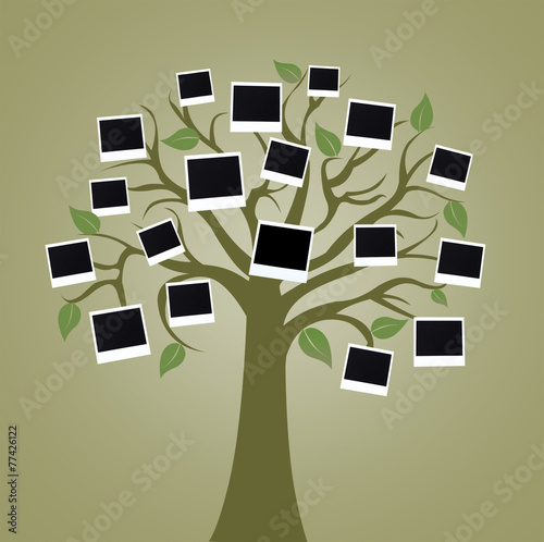 Big tree with photo cards on color background