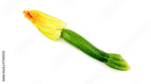 Fresh ripe zucchini with flower isolated