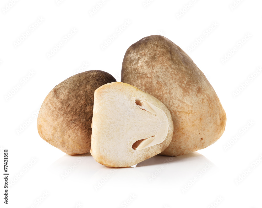 Fresh rice straw mushrooms,Volvariel la volvacea on white backgr